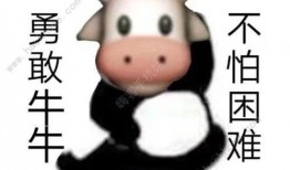 牛牛在线免费视频,畅享海量精彩内容，轻松解锁娱乐新境界