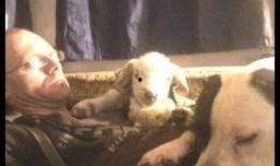 做爱视频在线看